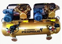 Máy nén khí Pegasus TM-V-0.25/8x2-230L