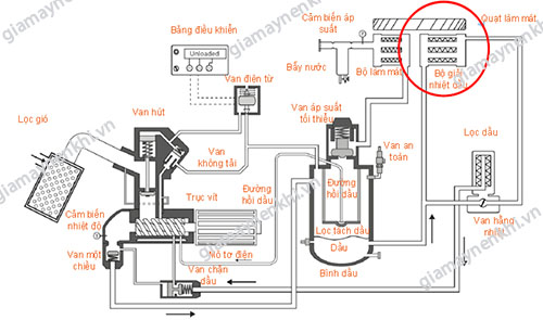 Vị trí két giải nhiệt dầu trong máy nén khí trục vít 