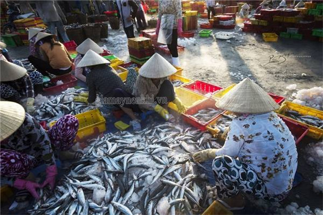 Chợ cá Long Hải nhộn nhịp buổi sáng